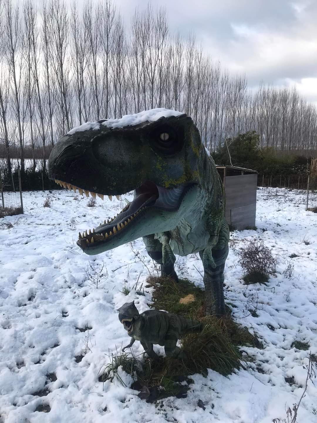 Dinosaures de Tropicaland, la jungle aux dinosaures, parc botanique et animalier en Haute Savoie