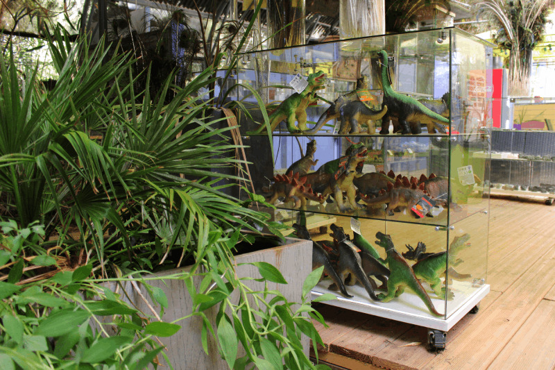 Boutique souvenirs de Tropicaland, vente de dinosaures à emporter